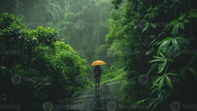 Photo of മഴ മുന്നറിയിപ്പ് ; കേരളത്തിൽ അടുത്ത 3 മണിക്കൂറിൽ ഒറ്റപ്പെട്ടയിടങ്ങളിൽ നേരിയ മഴയ്ക്ക്  സാധ്യത