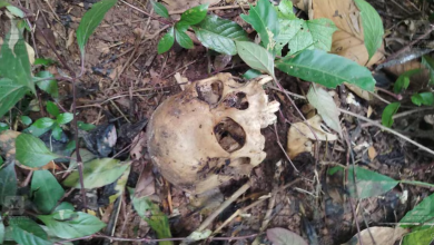Photo of മാസങ്ങൾ പഴക്കമുള്ള തലയോട്ടിയും അസ്ഥികളും കണ്ടെടുത്തു,കോട്ടയത്തതാണ് സംഭവം