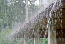 Photo of സംസ്ഥാനത്ത് നാളെ മുതൽ മഴയ്ക്ക് സാധ്യത; വിവിധ ജില്ലകളിൽ യെല്ലോ അലേർട്ട് പ്രഖ്യാപിച്ചു