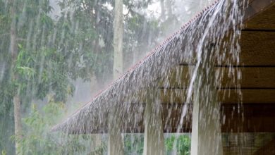 Photo of സംസ്ഥാനത്ത് നാളെ മുതൽ മഴയ്ക്ക് സാധ്യത; വിവിധ ജില്ലകളിൽ യെല്ലോ അലേർട്ട് പ്രഖ്യാപിച്ചു