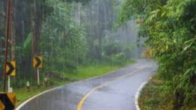 Photo of സംസ്ഥാനത്ത് ഇന്നും ശക്തമായ മഴയ്ക്ക് സാധ്യത; മധ്യകേരളത്തിൽ ഒറ്റപ്പെട്ടിടങ്ങളിൽ അതിശക്തമായ മഴയ്ക്ക് സാധ്യത