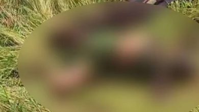 Photo of മഹാരാഷ്ട്രയിൽ വൃദ്ധ ദമ്പതികളെ പുലി കടിച്ചുകൊന്നു; മൃതദേഹങ്ങൾ പാതി ഭക്ഷിച്ച നിലയിൽ