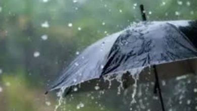 Photo of സംസ്ഥാനത്ത് ഇന്ന് ശക്തമായ മഴയ്ക്ക് സാധ്യത; മൂന്ന് ജില്ലകളിൽ ഓറഞ്ച് അലേർട്ട്
