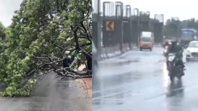 Photo of മോൻത ചുഴലിക്കാറ്റ് ആന്ധ്ര തീരം തൊട്ടു; നാല് പേർ മരിച്ചു, 1.76 ലക്ഷം ഹെക്ടർ കൃഷിനാശം