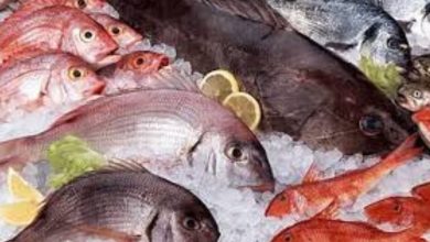 Photo of നെയ്യാറ്റിന്‍കരയില്‍ ചെമ്പല്ലി മീന്‍ കഴിച്ചവർക്ക് ഭക്ഷ്യവിഷബാധ; നാല്പതോളം പേര്‍ ആശുപത്രിയില്‍