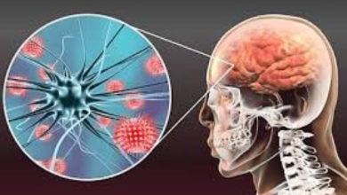 Photo of സംസ്ഥാനത്ത് വീണ്ടും അമീബിക് മസ്തിഷ്ക ജ്വരം ബാധിച്ച് മരണം; കൊല്ലം സ്വദേശിനിയായ 65കാരി മരിച്ചു