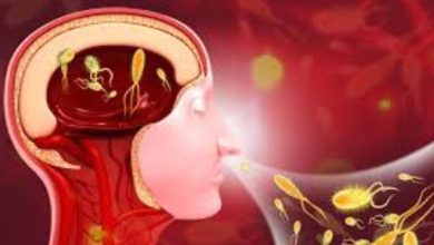 Photo of കൊച്ചിയിലും അമീബിക് മസ്തിഷ്കജ്വരം; ലക്ഷദ്വീപ് സ്വദേശിക്കാണ് രോഗബാധ സ്ഥിരീകരിച്ചു