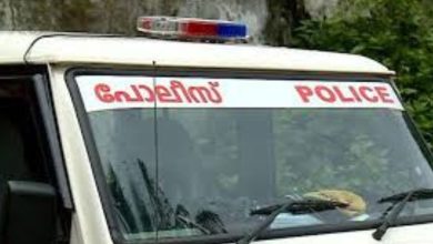 Photo of അമ്മയെ തള്ളിയിട്ട് കൊലപ്പെടുത്തിയ മകൻ പൊലീസ് പിടിയിൽ