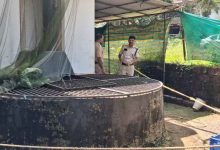 Photo of കുഞ്ഞിനെ കിണറ്റിൽ എറിഞ്ഞ് കൊലപ്പെടുത്തിയ സംഭവം; അമ്മ അറസ്റ്റിൽ